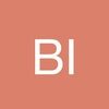 bizacc2420